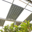 paneles-solares-invernadero-soluciones-energia-campos