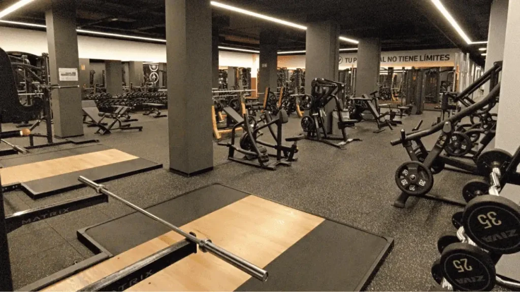 Proyecto construcción de Gimnasio VivaGym: amplio espacio con material propio de gimnasio premium