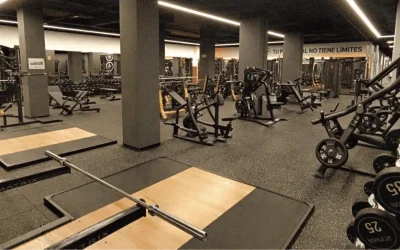 Proyecto construcción de Gimnasio VivaGym: amplio espacio con material propio de gimnasio premium