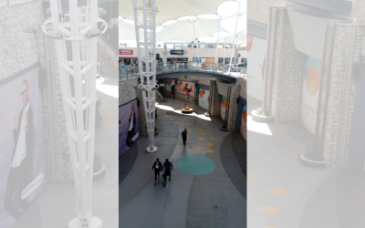 Proyecto de paisajismo